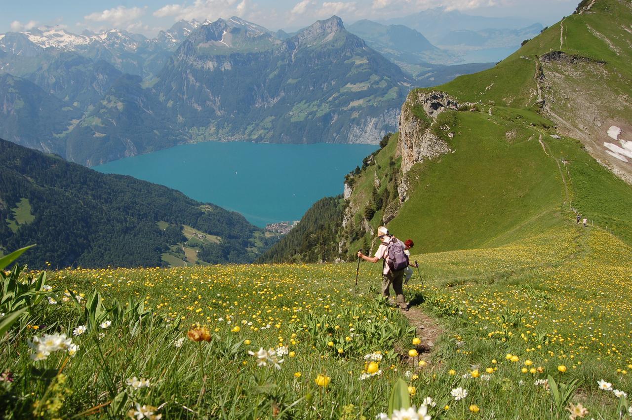 Gasthof Gipfelrestaurant Fronalpstock Stoos